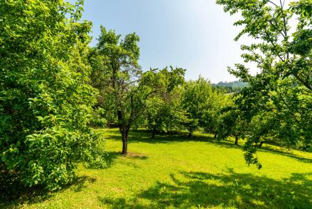 Holenice, Semily 100 00, チェコ共和国