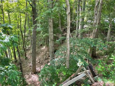 3060 State Route 48, Minetto, New York 13126, Stati Uniti