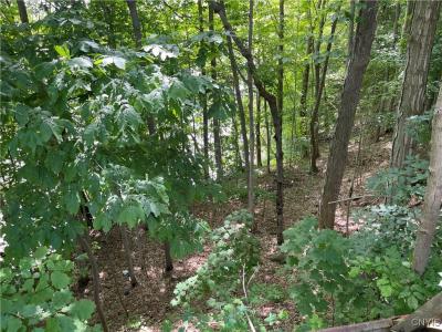 3060 State Route 48, Minetto, New York 13126, Stati Uniti