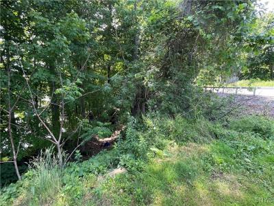 3060 State Route 48, Minetto, New York 13126, Stati Uniti