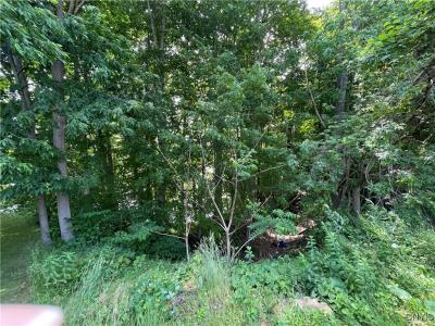 3060 State Route 48, Minetto, NY 13126, USA
