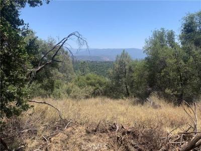 17 Pine Tree, North Fork, Califórnia 93643, Estados Unidos