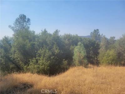 17 Pine Tree, North Fork, Califórnia 93643, Estados Unidos