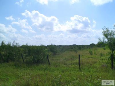 22933 N FM 2556, La Feria, Texas 78559, USA