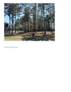 1152 Fiddlehead Way #551, Myrtle Beach, South Carolina 29579, USA