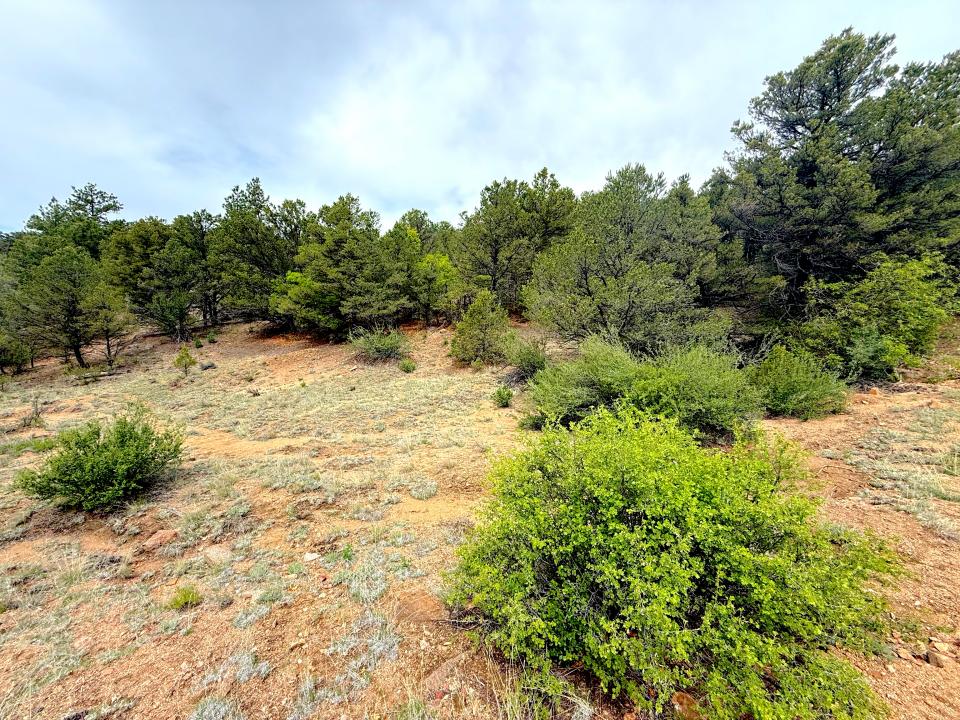 TBD County Road 28, Cotopaxi, 科罗拉多州 81223, 美国