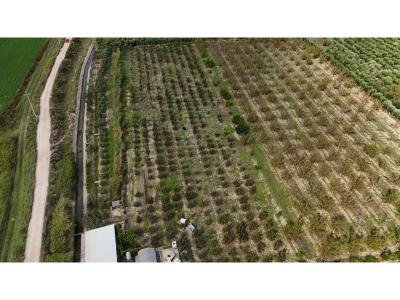 Periferia Sarandë, Sarandë, Albania