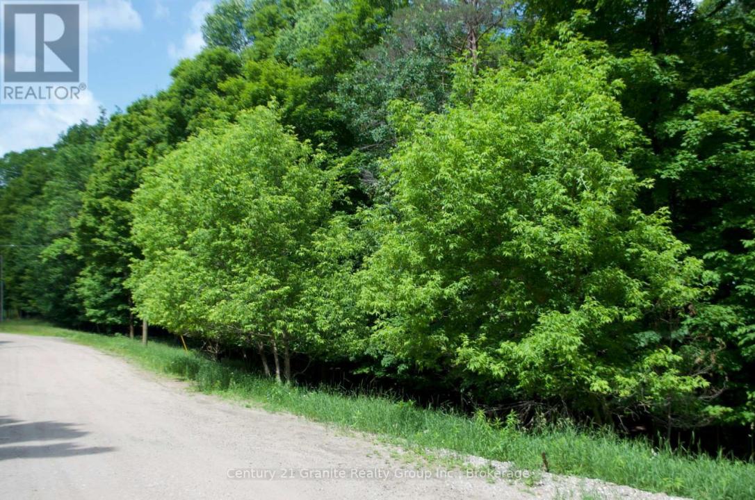 LOT 7 RIDGEVIEW ROAD, Dysart Et Al, Ontario K0M 1S0, Canada