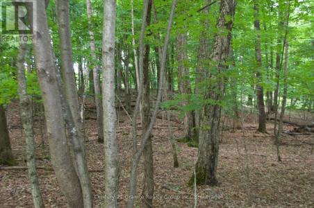 LOT 7 RIDGEVIEW ROAD, Dysart Et Al, Ontario K0M 1S0, Canada