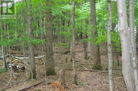 LOT 7 RIDGEVIEW ROAD, Dysart Et Al, Ontario K0M 1S0, Canada
