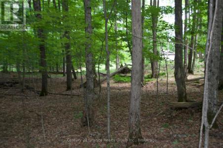 LOT 7 RIDGEVIEW ROAD, Dysart Et Al, Ontario K0M 1S0, Canada
