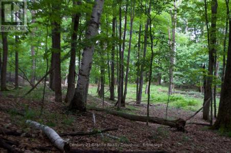 LOT 7 RIDGEVIEW ROAD, Dysart Et Al, Ontario K0M 1S0, Canada