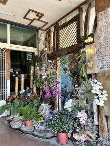 中山路, Чишан, Уезд Тайдун 958, Тайвань