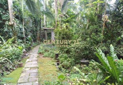 吳興段二小段, Xinyi Dist., Taipei City 110, Taiwan