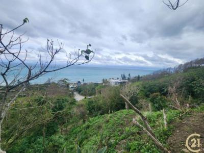 山嶺段, Shoufeng Township, Hualien County 974, Taiwan