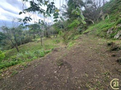 山嶺段, Shoufeng Township, Hualien County 974, Taiwan