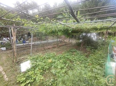 叭嗹港段小溪小段, Xizhi Dist., Nueva Taipei 221, Taiwan