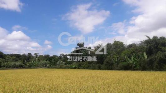 三層段, 大溪區, Taoyuan 335, Taïwan