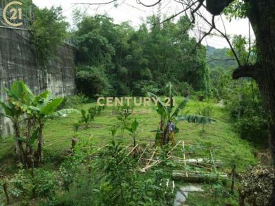 桃米路, Puli Township, Nantou County 545, Taiwan