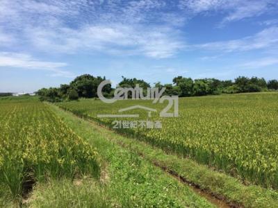 崁頭段, Xinfeng Township, Hsinchu County 304, Taiwan