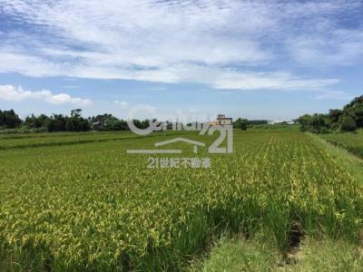 崁頭段, Xinfeng Township, Hsinchu County 304, Taiwan