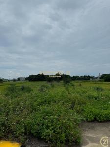 坑子口段, Xinfeng Township, Hsinchu County 304, Taiwan