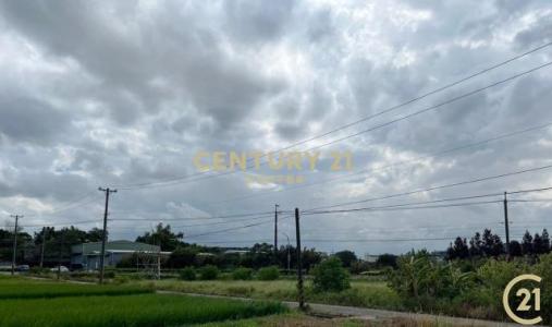 中崙段, Xinfeng Township, Hsinchu County 304, Taiwan