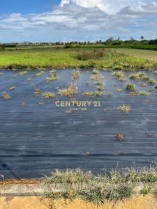 中崙段, Xinfeng Township, Hsinchu County 304, Taiwan