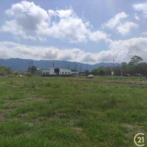 榮光段, Shoufeng Township, Hualien County 974, Đài Loan