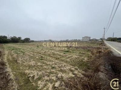 崁頭段, Xinfeng Township, Hsinchu County 304, Taiwan