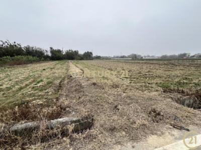 崁頭段, شين فنغ بلدة, مقاطعة شينتشو 304, تايوان