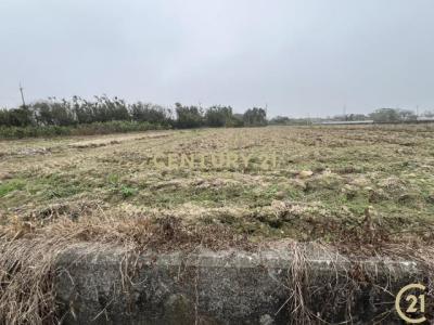 崁頭段, شين فنغ بلدة, مقاطعة شينتشو 304, تايوان