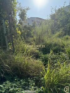 泉州段, Houli Dist., Taichung City 421, Taiwan