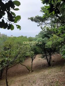 中幅段, Wanli Dist., Новый Тайбэй 207, Тайвань