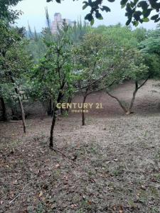 中幅段, Wanli Dist., Новый Тайбэй 207, Тайвань