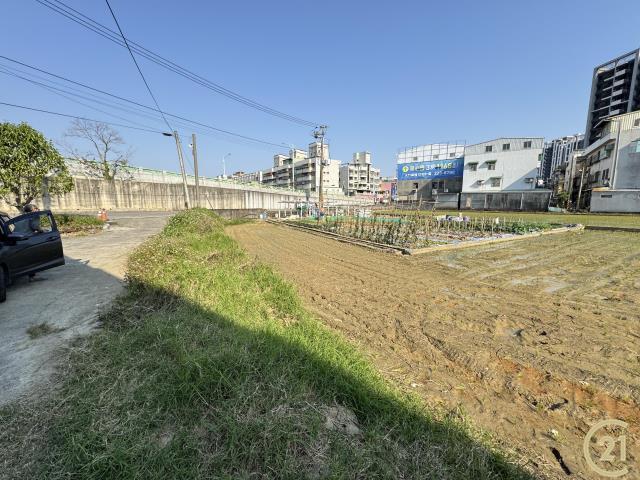 大竹路, 蘆竹區, Taoyuan 338, Tajwan