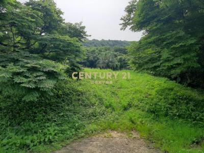 中幅段, Wanli Dist., New Taipei City 207, Taiwan