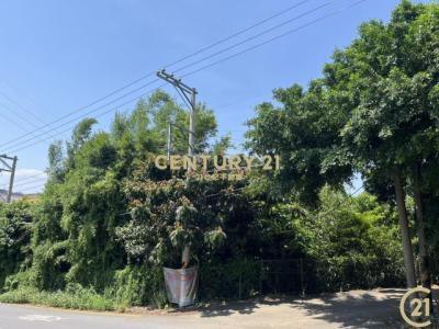 八德段, Hukou Township, Hsinchu County 303, Taiwan