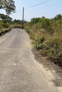 大內段, Danei Dist., Tainan City 742, Taiwan