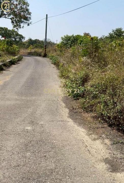 大內段, Danei Dist., Tainan 742, Taiwan