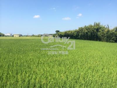 青埔子段, Xinfeng Township, Hsinchu County 304, Taiwán