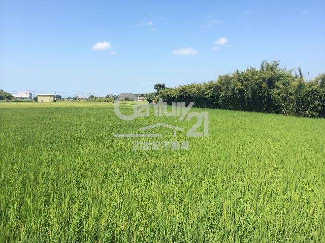 青埔子段, Xinfeng Township, Hsinchu County 304, Taiwán