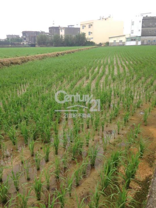 崁頭段, Xinfeng Township, Hsinchu County 304, 대만