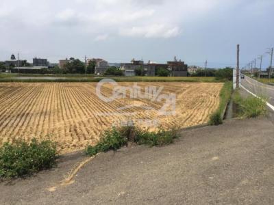 瑞興段, Xinfeng Township, Hsinchu County 304, Taiwan