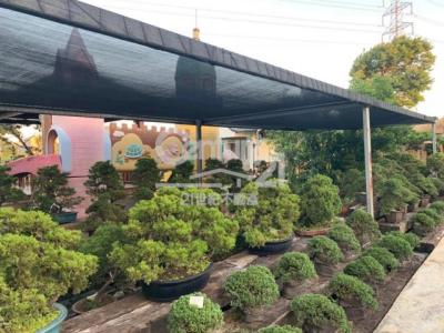 上湖段, 楊梅區, Taoyuan City 326, Taiwan