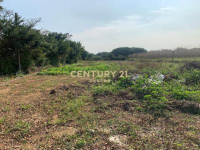 福興段後湖子小段, Xinfeng Township, Hsinchu County 304, Taiwan