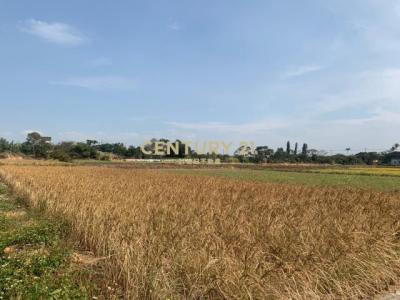 青埔子段, Xinfeng Township, Hsinchu County 304, Taiwán