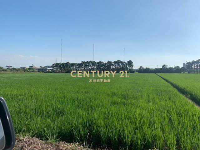 青埔子段, Xinfeng Township, Hsinchu County 304, Taïwan
