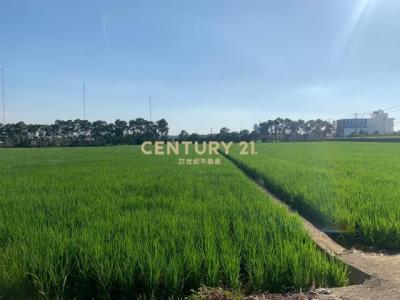 青埔子段, Xinfeng Township, Hsinchu County 304, Taïwan