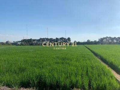 青埔子段, Xinfeng Township, Hsinchu County 304, Taïwan